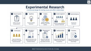 Experimental Research Process - Steps - MethodologyHub.com