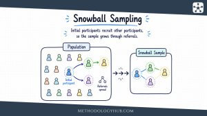 Snowball Sampling - MethodologyHub.com